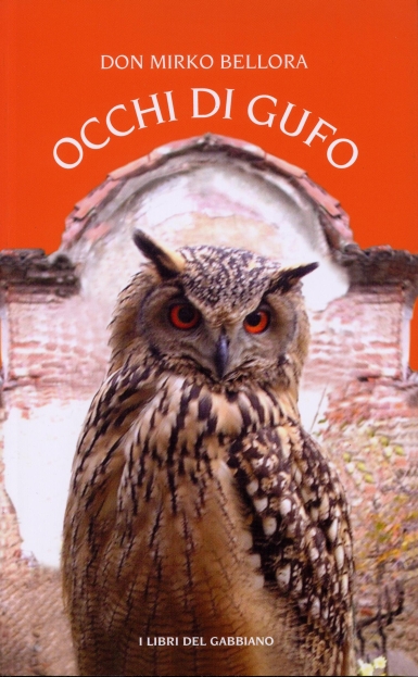 Occhigufo