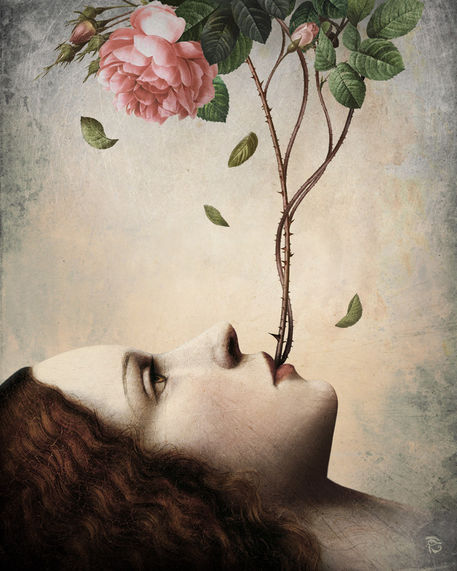 christian-schloe-secret-of-the-rose